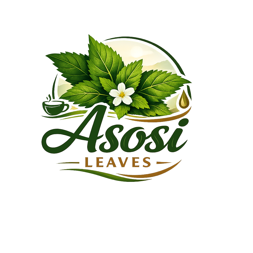 How “Asosi” (Cerasee) Translates in Spanish ?