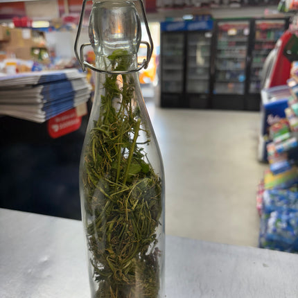 Boutey Asosi or Cerasee leafs Haitian Production