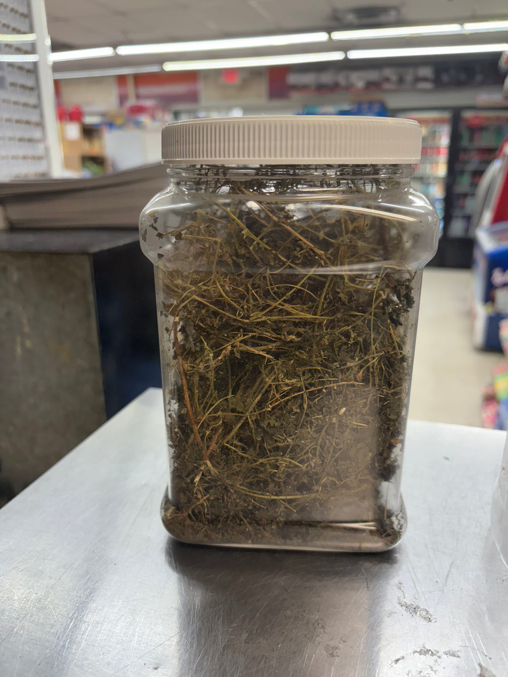 Dried Haitian Cerasee organic carefully grow