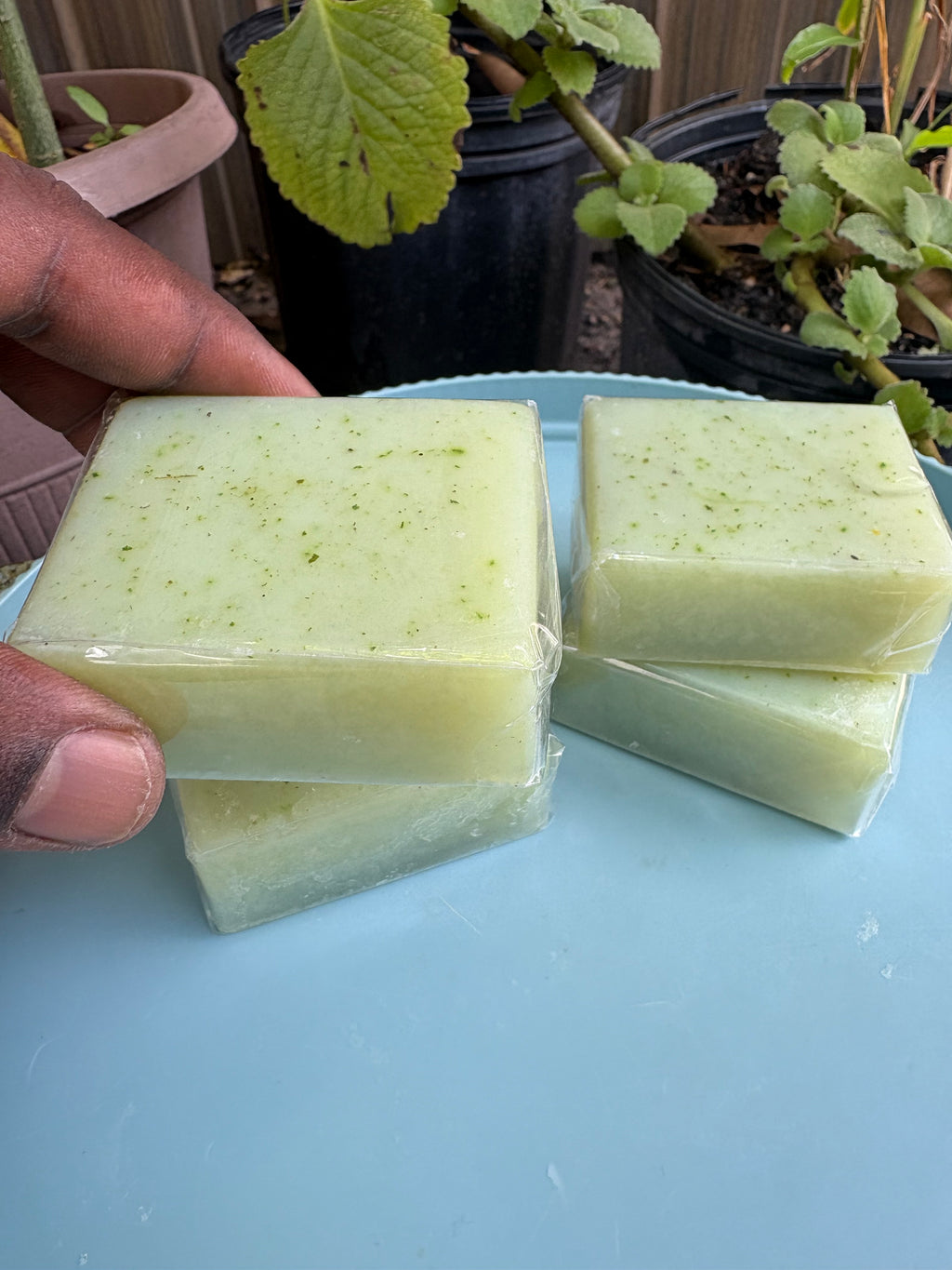 Asosi Cerasee Herbal Soap – 4 Bar Set