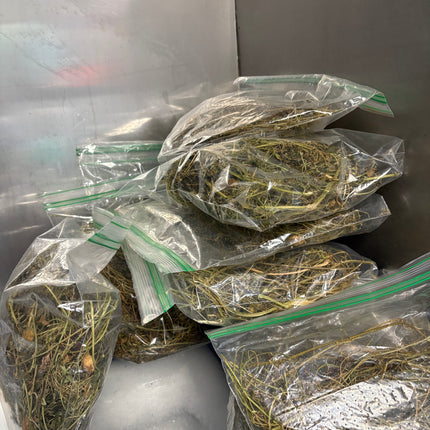 Asosi Herb/Cerasee dry Leaves