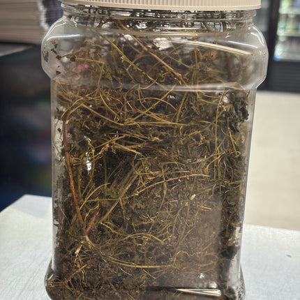 Dried Haitian Cerasee organic carefully grow