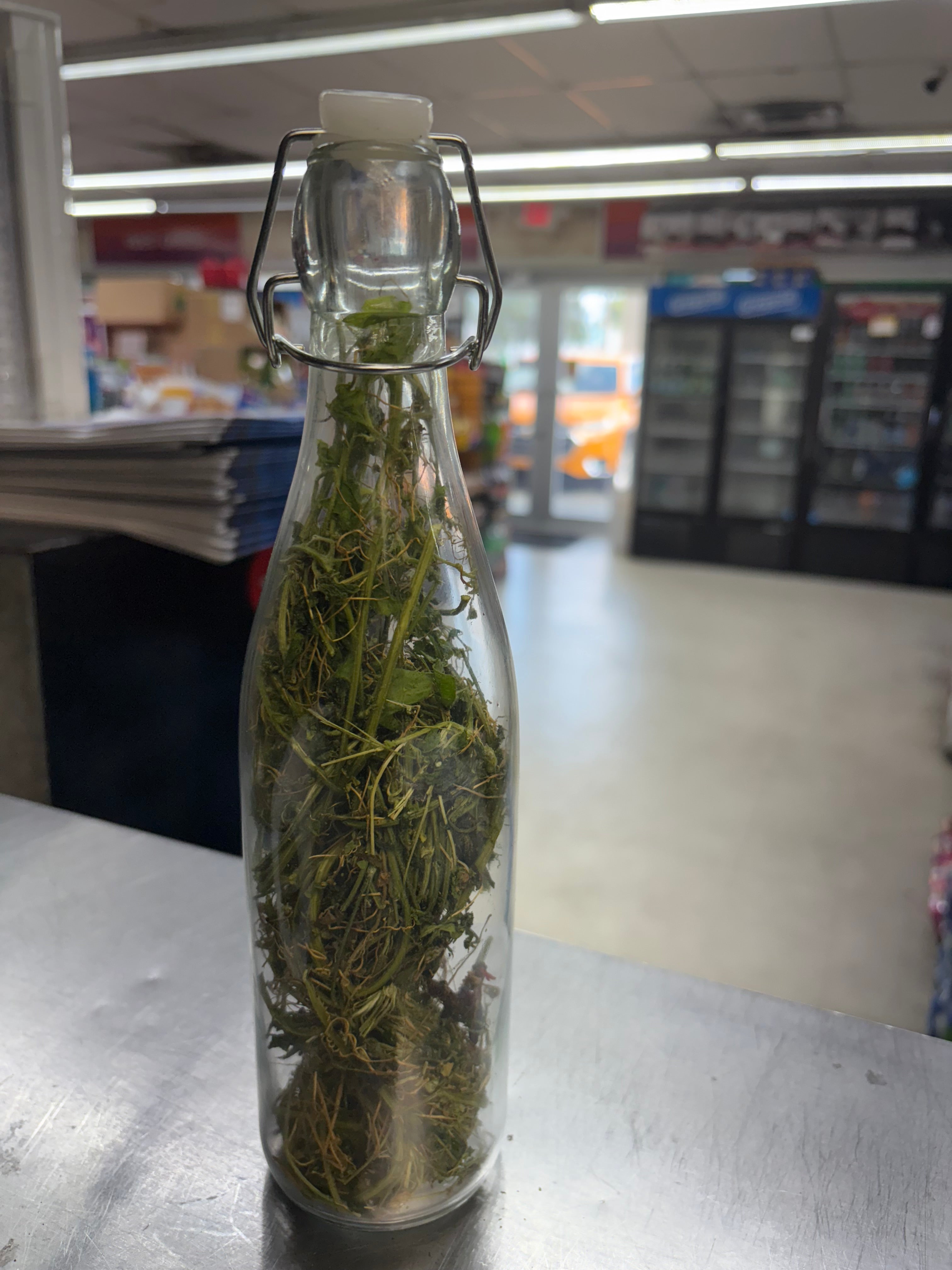 Boutey Asosi or Cerasee leafs Haitian Production