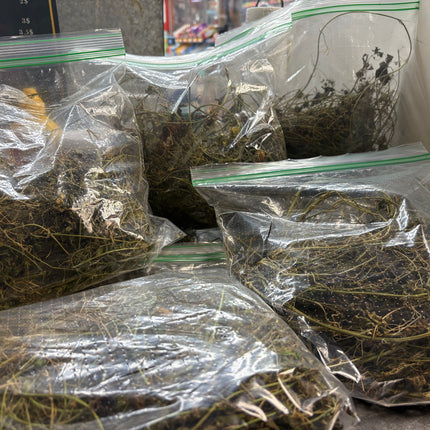 Asosi Herb/Cerasee dry Leaves