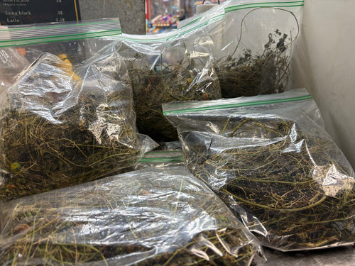 Asosi Herb/Cerasee dry Leaves