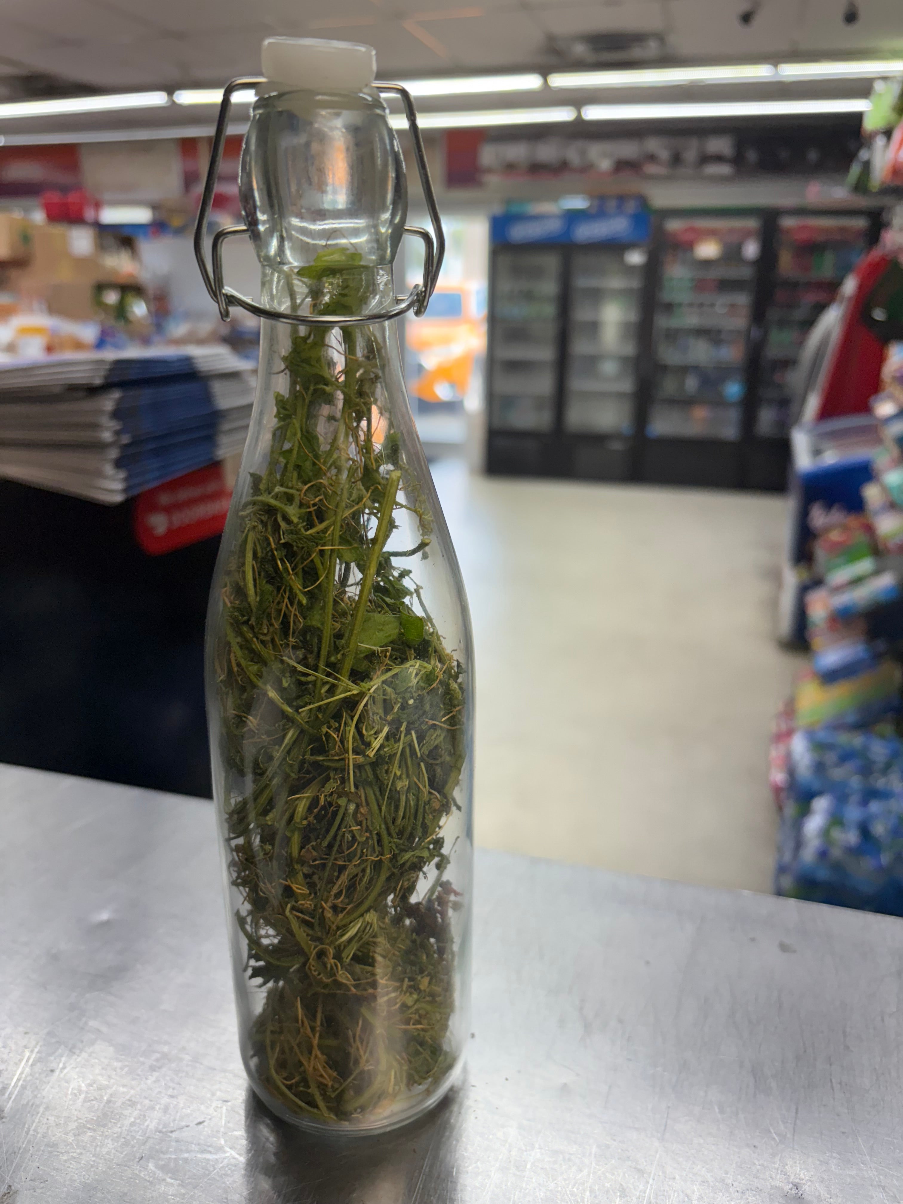 Boutey Asosi or Cerasee leafs Haitian Production