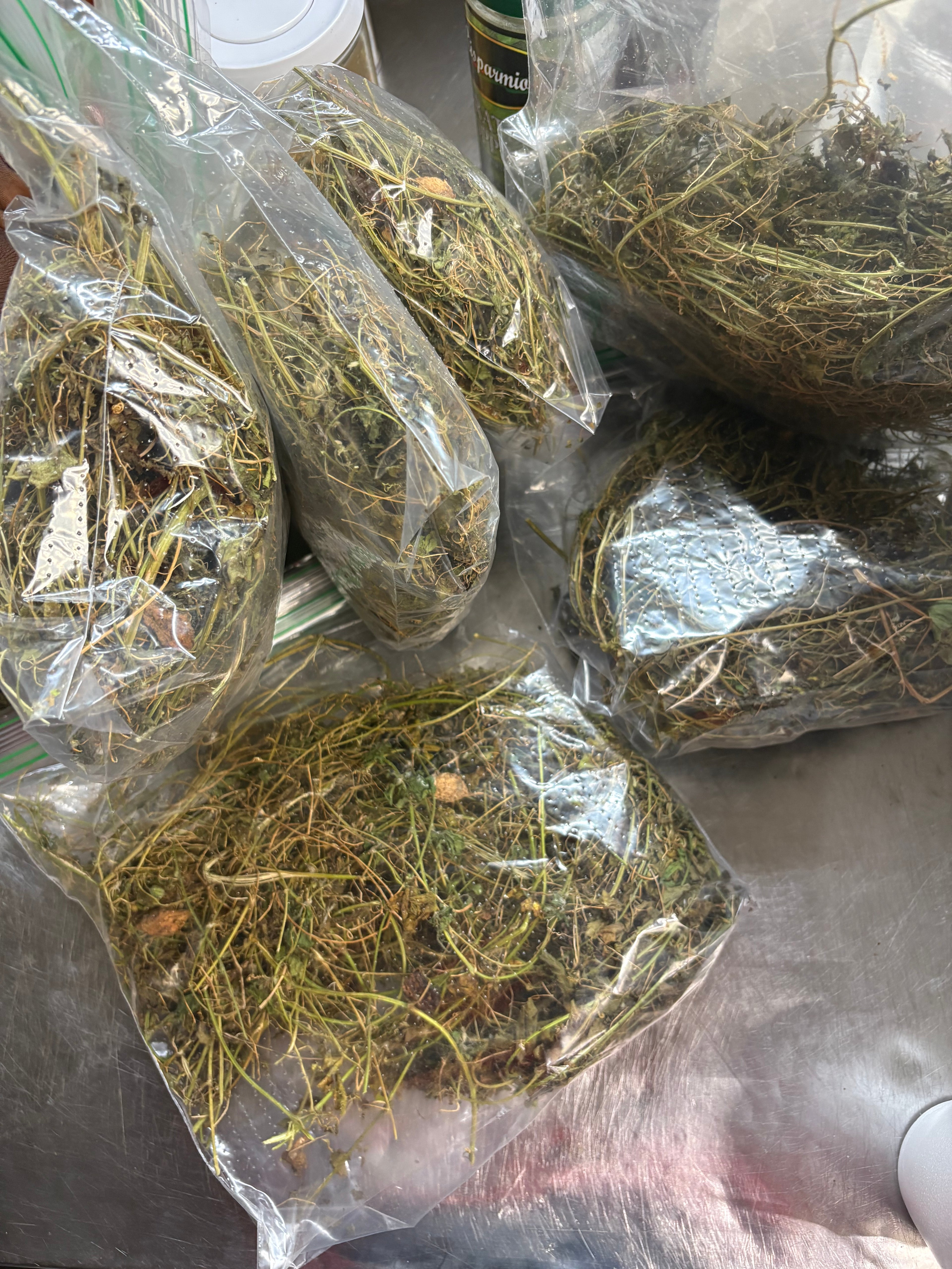 Asosi Herb/Cerasee dry Leaves