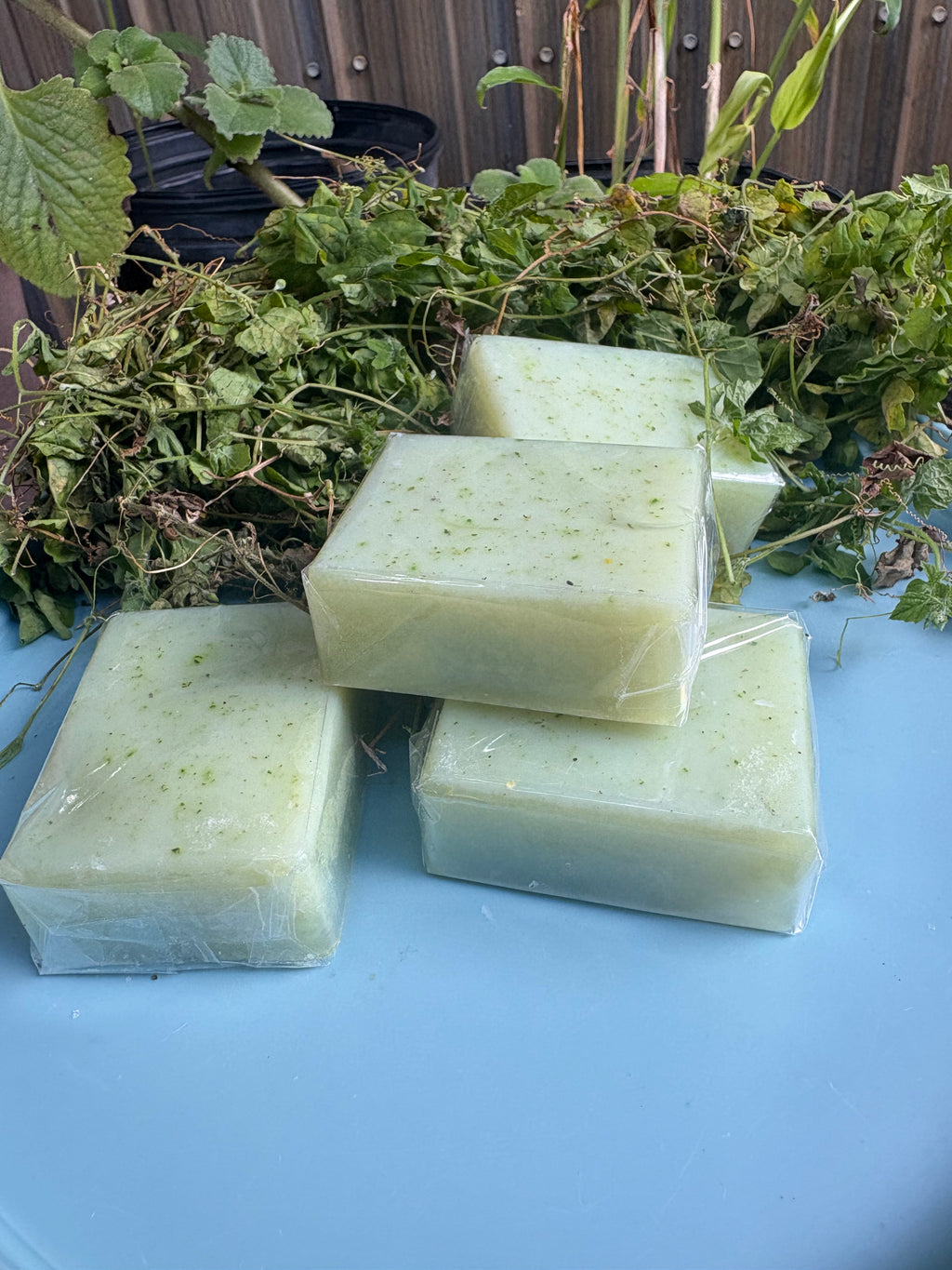 Asosi Cerasee Herbal Soap – 4 Bar Set