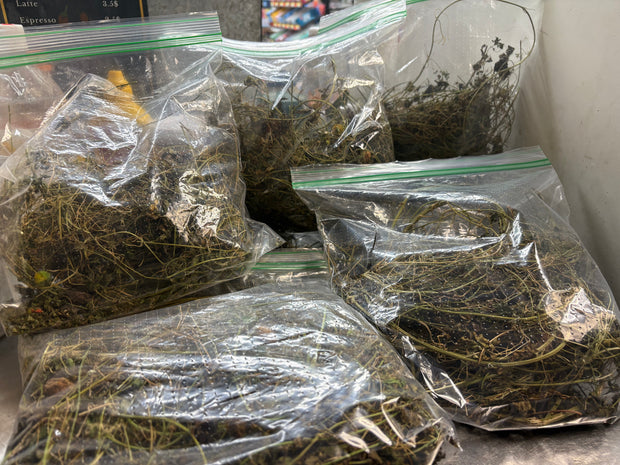 Banner image for: <h1><strong>Our Best-Selling Herbs</strong></h1>
