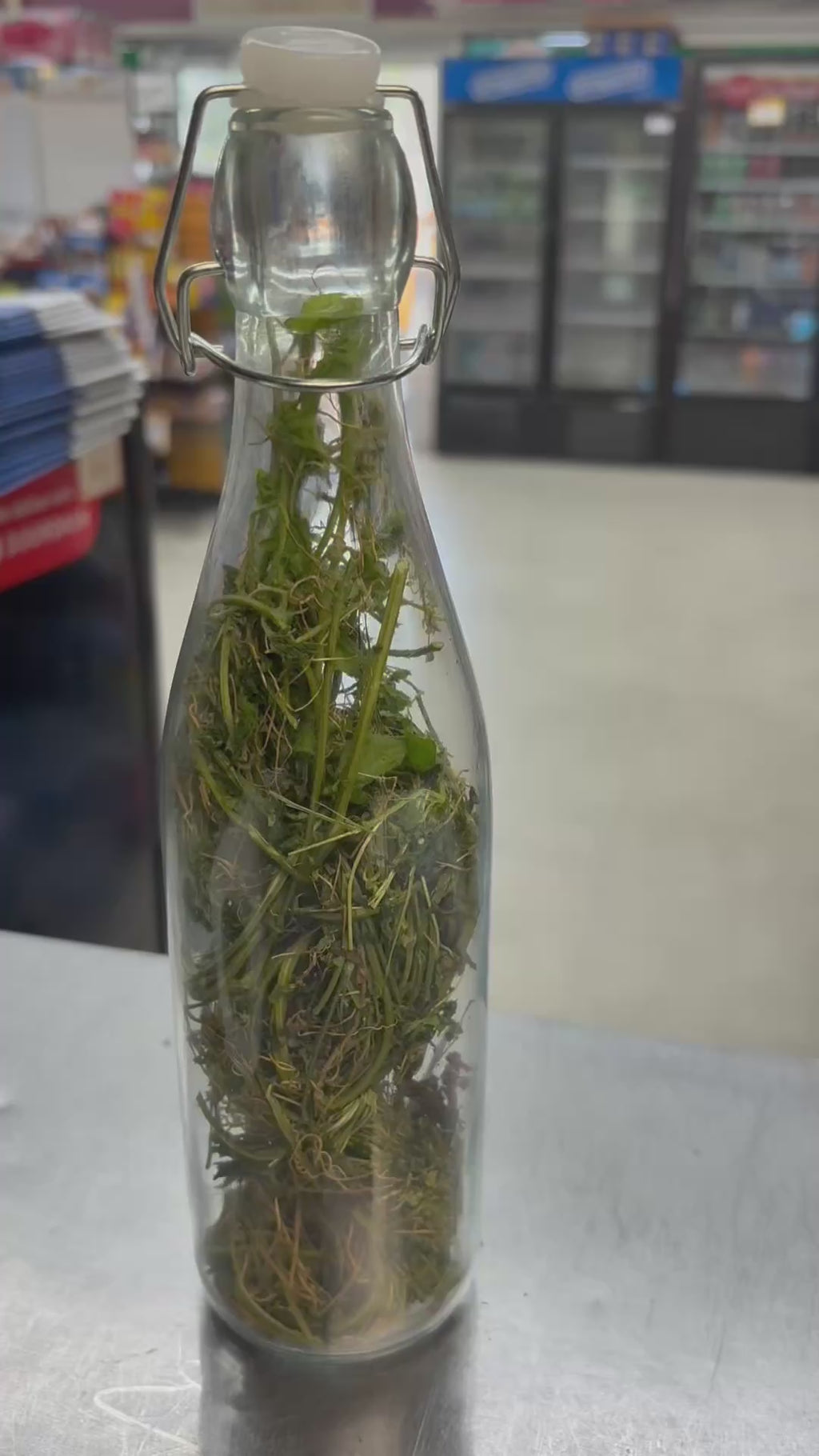 Boutey Asosi or Cerasee leafs Haitian Production